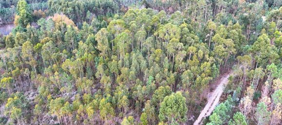  Land in Tondela, Portugal No. 190388 2