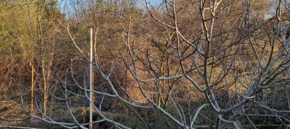 8 rooms House in Banchette, Italy No. 189377 10