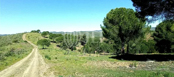 19 Schlafzimmer Schlösser in Sao Bartolomeu de Messines, Portugal, Nr. 10251 7
