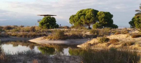 3 Schlafzimmer Wohnung in Santa Pola, Spain, Nr. 152292 31