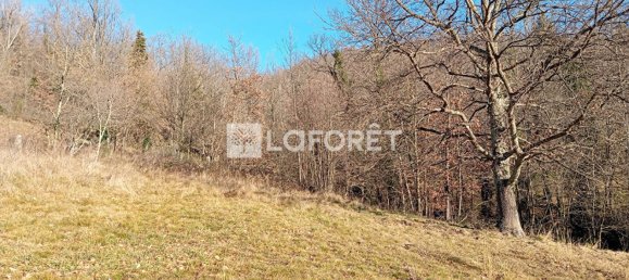 Terrain à Prats-de-Mollo-la-Preste, France No. 113750 4