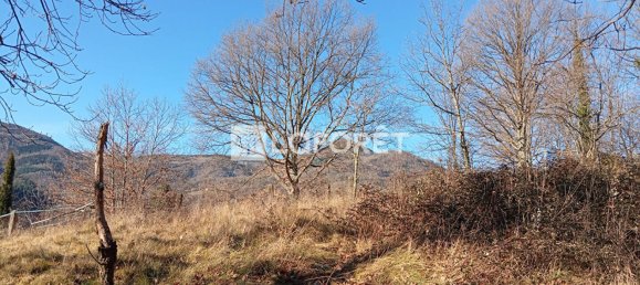 Terrain à Prats-de-Mollo-la-Preste, France No. 113750 11