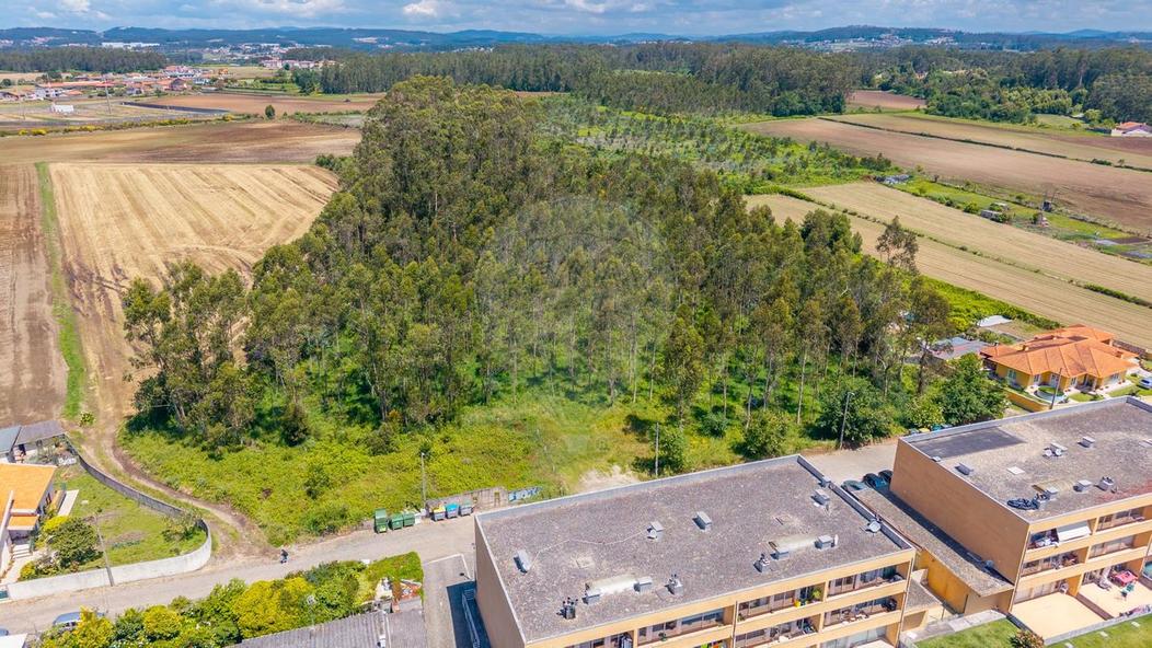  قطعة أرض في Arvore, Portugal رقم 245764