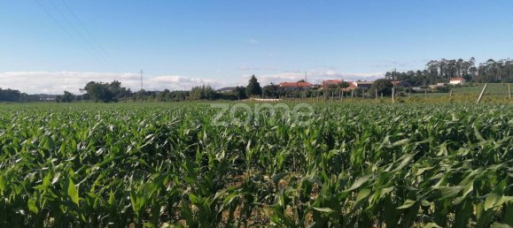 4266m² Land in Vila Nova de Famalicao, Portugal No. 36636 13