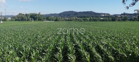 4266m² Land in Vila Nova de Famalicao, Portugal No. 36636 14