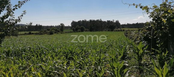 4266m² Land in Vila Nova de Famalicao, Portugal No. 36636 5