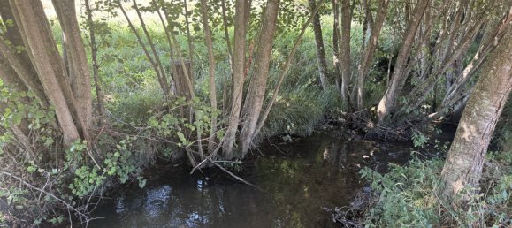 3 غرف نوم منزل في Calvados, France رقم 355017 17