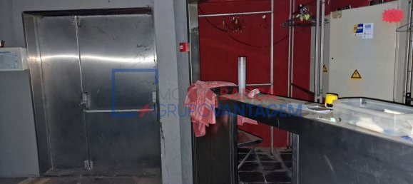 374m² Building in Mora, Portugal No. 91681 13