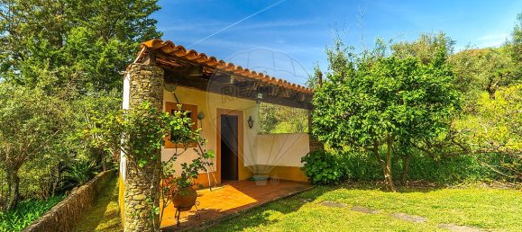 3 bedrooms House in Tomar, Portugal No. 29031 24