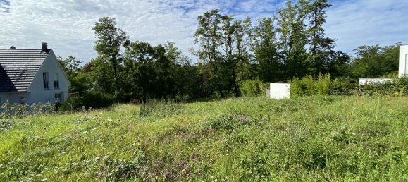 1372m² Land in Sierentz, France No. 67458 2