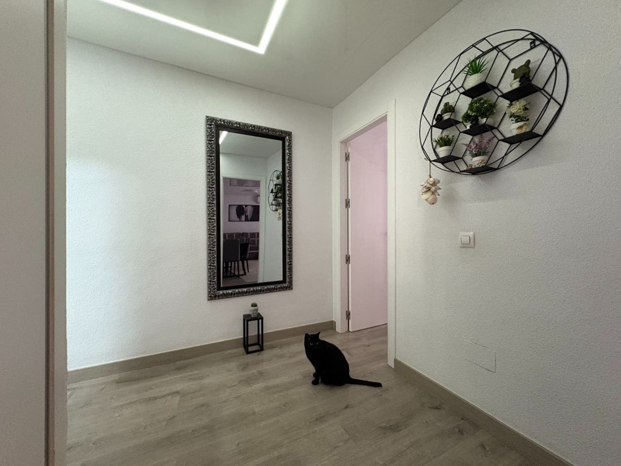 4 chambres Appartement à Torrevieja, Spain No. 186355