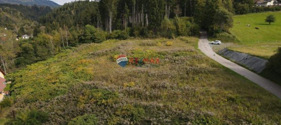  Land in Feldkirchen in Karnten, Austria No. 74048 5