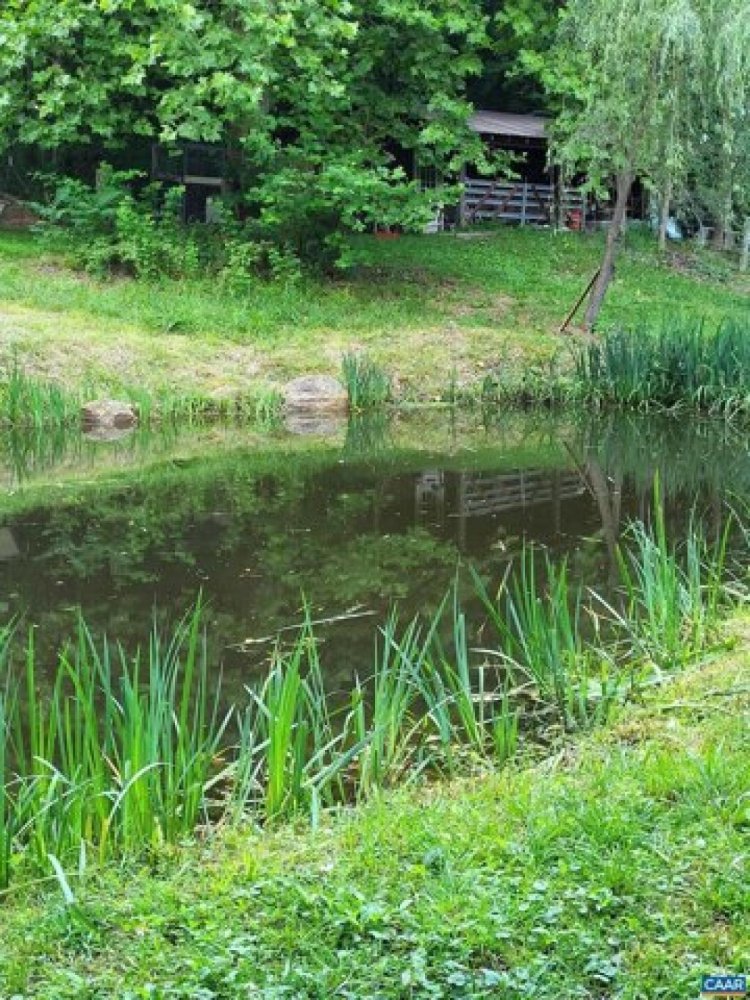 Grundstück in Free Union, USA, Nr. 477914