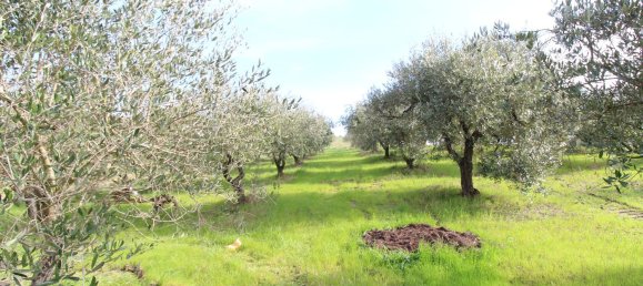 25غرفة فيلا في Montespertoli, Italy رقم 92050 40