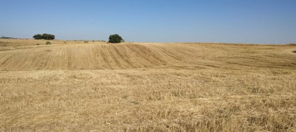 15772m² Land in Navalcarnero, Spain No. 116954 4