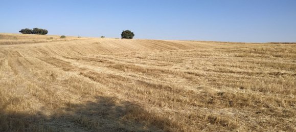 15772m² Land in Navalcarnero, Spain No. 116954 2