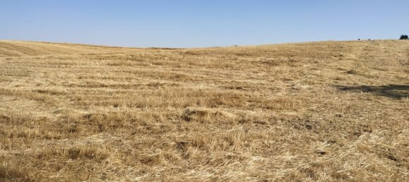 15772m² Land in Navalcarnero, Spain No. 116954 5