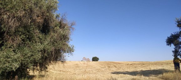 15772m² Land in Navalcarnero, Spain No. 116954 6