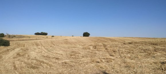 15772m² Land in Navalcarnero, Spain No. 116954 3