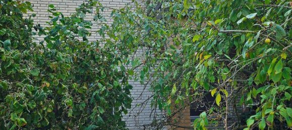 Таунхаус с 3 спальнями в Пайне, Германия № 126162 6