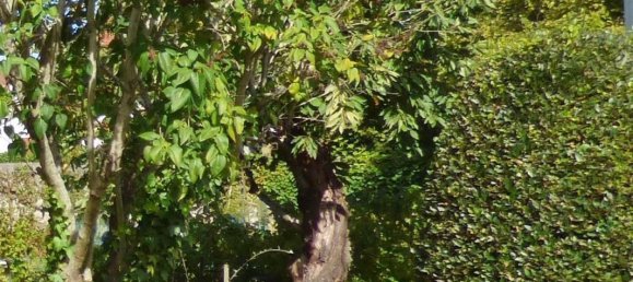 Terreno en Noisy-le-Roi, France 800 m² No. 327121 4