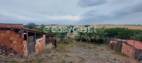 1 bedroom House in Beja, Portugal No. 31238 4