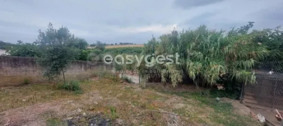 1 bedroom House in Beja, Portugal No. 31238 7