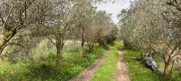 4غرفة منزل في Sardinia, Italy رقم 245573 16