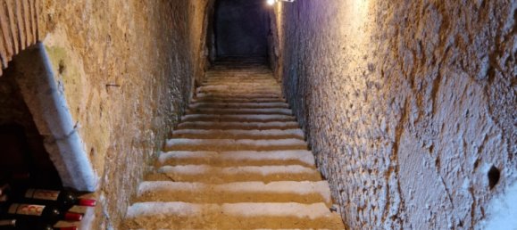 Villa de 4 dormitorios en Orleans, France No. 70366 21