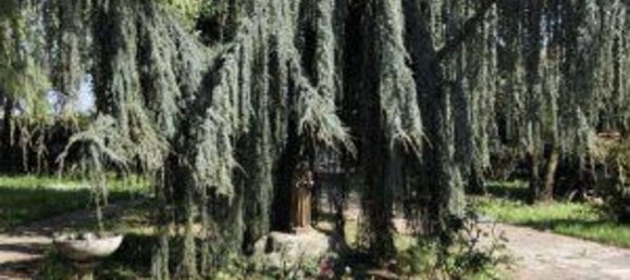 12-Zimmer Villa in Magenta, Italy, Nr. 5586 6