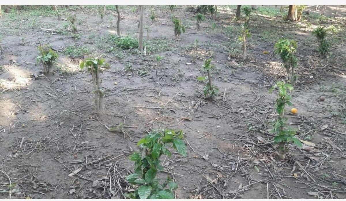 Studio à Guadalajara de Buga, Colombia No. 1739