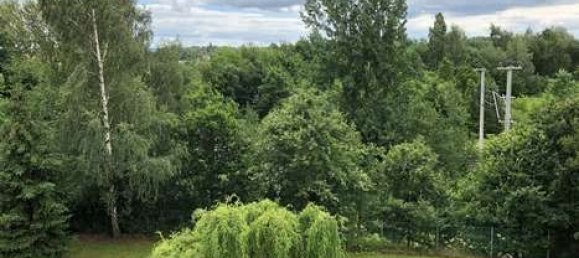 Квартира с 3 спальнями в Хемниц, Германия № 28983 13