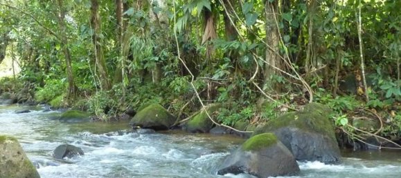  Land in Upala, Costa Rica No. 1765 4
