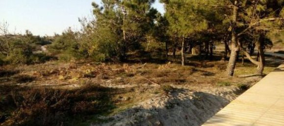 2580m² Land in Esposende, Portugal No. 149166 3