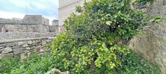 Таунхаус с 3 спальнями в Заббар, Мальта № 1854 23