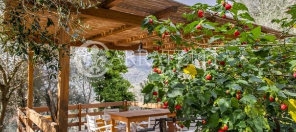 Дом с 8 спальнями в Камайоре, Италия № 116739 24