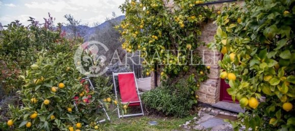 Дом с 8 спальнями в Камайоре, Италия № 116739 13