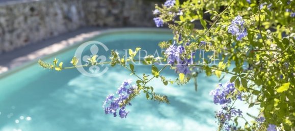 Дом с 8 спальнями в Камайоре, Италия № 116739 19