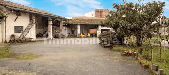 3 Schlafzimmer Haus in Trino, Italy, Nr. 232080 2