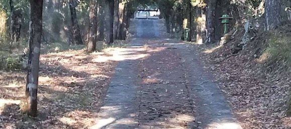 5 rooms Apartment in Reggello, Italy No. 262334 8