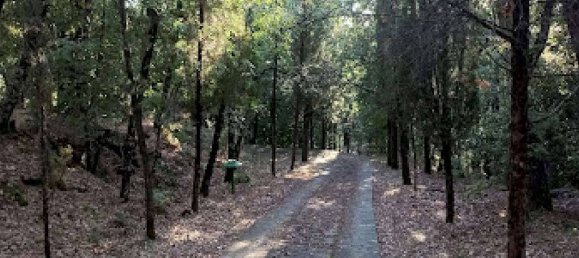 5 rooms Apartment in Reggello, Italy No. 262334 9