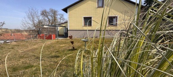 5 rooms Bungalow in Bischofstetten, Austria No. 131606 8