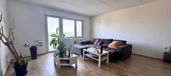 2 rooms Apartment in Traiskirchen, Austria No. 161542 2