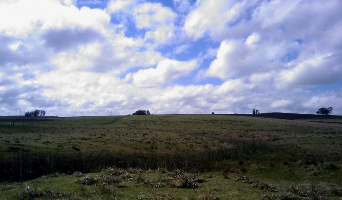  Farm in Maldonado, Uruguay No. 14305