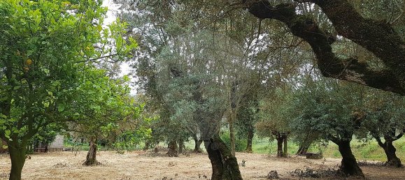 1 غرف نوم منزل في Ferreira do Zezere, Portugal رقم 21384 13