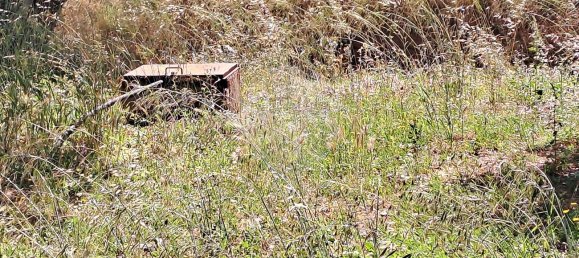 1 غرف نوم منزل في Ferreira do Zezere, Portugal رقم 21384 21