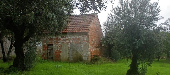 1 غرف نوم منزل في Ferreira do Zezere, Portugal رقم 21384 18