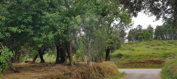 1 غرف نوم منزل في Ferreira do Zezere, Portugal رقم 21384 15