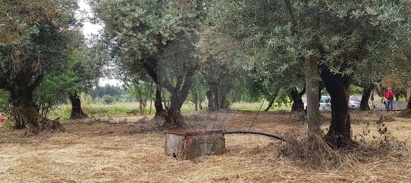 1 غرف نوم منزل في Ferreira do Zezere, Portugal رقم 21384 14