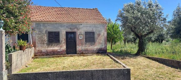 1 غرف نوم منزل في Ferreira do Zezere, Portugal رقم 21384 6